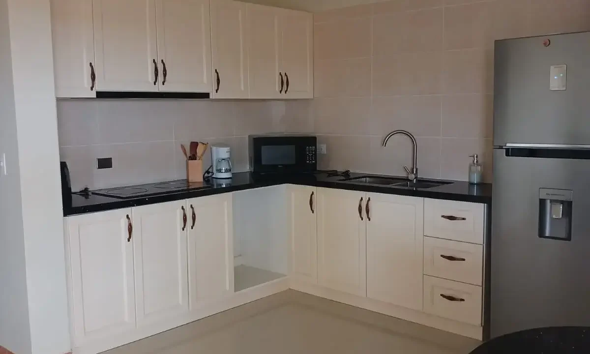 Modern Kitchen at Apt 1