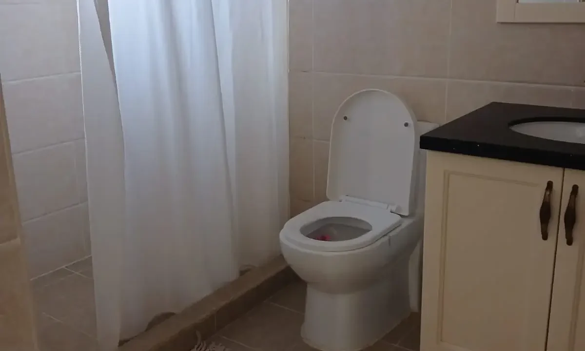 Clean Modern Bathroom